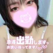 ヒメ日記 2026/02/26 06:42 投稿 れあ 白いぽっちゃりさん