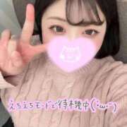 ヒメ日記 2026/02/26 14:12 投稿 れあ 白いぽっちゃりさん