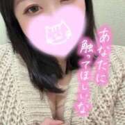 ヒメ日記 2026/02/28 14:22 投稿 れあ 白いぽっちゃりさん