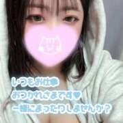 ヒメ日記 2026/03/10 19:09 投稿 れあ 白いぽっちゃりさん