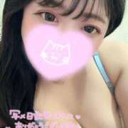 ヒメ日記 2026/04/12 15:20 投稿 れあ 白いぽっちゃりさん