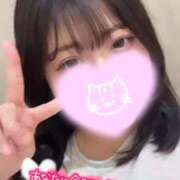 ヒメ日記 2026/04/15 20:47 投稿 れあ 白いぽっちゃりさん