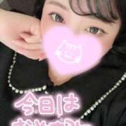 ヒメ日記 2026/05/08 18:39 投稿 れあ 白いぽっちゃりさん