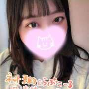 ヒメ日記 2026/05/22 13:28 投稿 れあ 白いぽっちゃりさん
