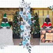 ヒメ日記 2025/11/24 11:34 投稿 りつこ 熟女の風俗最終章 仙台店