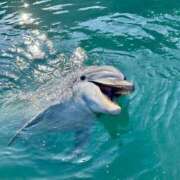 ヒメ日記 2025/12/16 08:04 投稿 あきほ 出会い系人妻ネットワーク錦糸町～小岩編