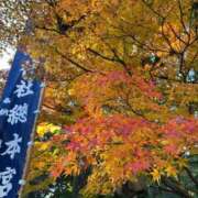 ヒメ日記 2025/12/27 11:41 投稿 あきほ 出会い系人妻ネットワーク錦糸町～小岩編