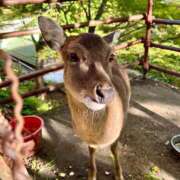 あきほ みーちゃんへ愛を込めて、そして1/24(土)のご予約について 出会い系人妻ネットワーク錦糸町～小岩編