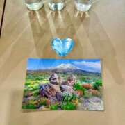 ヒメ日記 2026/01/23 21:27 投稿 あきほ 出会い系人妻ネットワーク錦糸町～小岩編