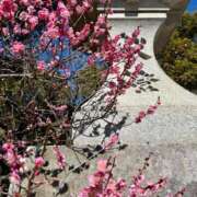 ヒメ日記 2026/02/09 07:05 投稿 あきほ 出会い系人妻ネットワーク錦糸町～小岩編