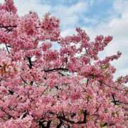 ヒメ日記 2026/02/25 09:45 投稿 あきほ 出会い系人妻ネットワーク錦糸町～小岩編