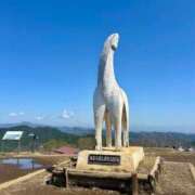 ヒメ日記 2026/04/12 10:33 投稿 あきほ 出会い系人妻ネットワーク錦糸町～小岩編