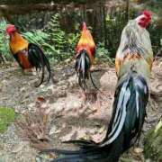 ヒメ日記 2026/04/20 21:50 投稿 あきほ 出会い系人妻ネットワーク錦糸町～小岩編