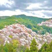 ヒメ日記 2026/04/24 09:34 投稿 あきほ 出会い系人妻ネットワーク錦糸町～小岩編