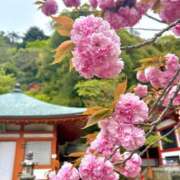 ヒメ日記 2026/04/28 09:47 投稿 あきほ 出会い系人妻ネットワーク錦糸町～小岩編
