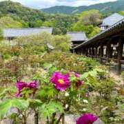 あきほ 参加日変更と次回参加日のお知らせ🕊️  出会い系人妻ネットワーク錦糸町～小岩編