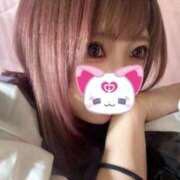 ヒメ日記 2025/11/17 17:49 投稿 せら 静岡駅前ちゃんこ