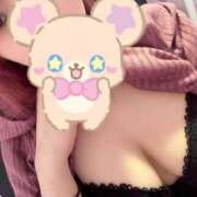 ヒメ日記 2025/11/25 10:48 投稿 せら 静岡駅前ちゃんこ