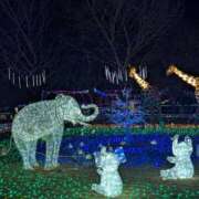 ヒメ日記 2025/12/22 16:45 投稿 すいれん 鹿児島ちゃんこ 薩摩川内店