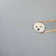 ヒメ日記 2026/02/02 00:06 投稿 すいれん 鹿児島ちゃんこ 薩摩川内店