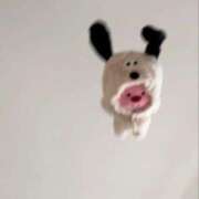 ヒメ日記 2026/02/10 14:15 投稿 すいれん 鹿児島ちゃんこ 薩摩川内店