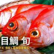 ヒメ日記 2026/06/13 03:20 投稿 すいれん 鹿児島ちゃんこ 薩摩川内店