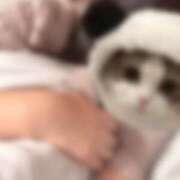 ヒメ日記 2026/09/27 10:37 投稿 すいれん 鹿児島ちゃんこ 薩摩川内店
