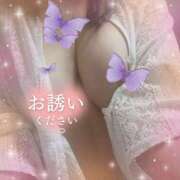 ヒメ日記 2026/01/19 20:25 投稿 ひすい 奥鉄オクテツ東京店（デリヘル市場）