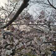 ヒメ日記 2026/03/30 22:00 投稿 葉月ひな ミセスの癒しエステ