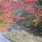 ヒメ日記 2025/11/28 23:38 投稿 りあ トマトなび