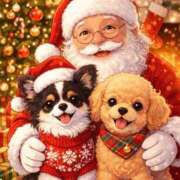 ヒメ日記 2025/12/25 21:32 投稿 りあ トマトなび