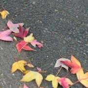 つばき カラフル落ち葉 美熟女倶楽部Hip's 春日部店