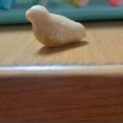 ヒメ日記 2026/01/17 10:02 投稿 つばき 美熟女倶楽部Hip's 春日部店