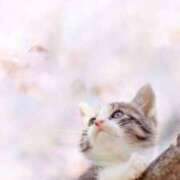 ヒメ日記 2026/02/08 19:03 投稿 つばき 美熟女倶楽部Hip's 春日部店