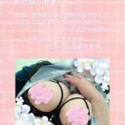 ヒメ日記 2026/03/13 10:21 投稿 えり 丸妻 新横浜店