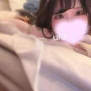 ヒメ日記 2026/02/12 01:11 投稿 うる 秋葉原コスプレ学園(AKG)