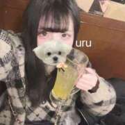 ヒメ日記 2026/02/15 00:31 投稿 うる 秋葉原コスプレ学園(AKG)