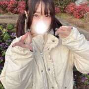 ヒメ日記 2026/01/26 11:21 投稿 るか 高級オナクラ　ひよこクラブ