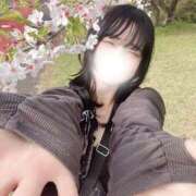 ヒメ日記 2026/04/13 15:01 投稿 るか 高級オナクラ　ひよこクラブ