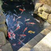 ヒメ日記 2026/01/04 15:00 投稿 ちはる Lip Trip