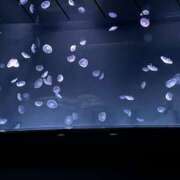 ヒメ日記 2026/01/18 15:00 投稿 ちはる Lip Trip