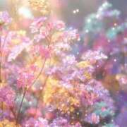 ヒメ日記 2025/11/20 18:27 投稿 星丘 美零 30代40代50代と遊ぶなら博多人妻専科24時