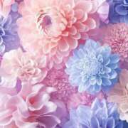 ヒメ日記 2025/12/08 16:26 投稿 星丘 美零 30代40代50代と遊ぶなら博多人妻専科24時