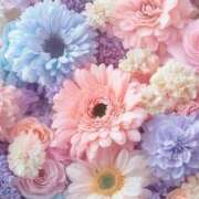 ヒメ日記 2025/12/08 16:34 投稿 星丘 美零 30代40代50代と遊ぶなら博多人妻専科24時