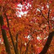 ヒメ日記 2025/11/24 21:48 投稿 今宵 ほのか プルプルオフィスディーバ