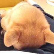 ヒメ日記 2026/01/16 14:41 投稿 水野こころ すべりん棒シャンプー娘。（横浜ハレ系）