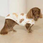 ヒメ日記 2026/01/17 13:48 投稿 水野こころ すべりん棒シャンプー娘。（横浜ハレ系）