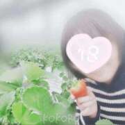 ヒメ日記 2026/02/08 19:40 投稿 水野こころ すべりん棒シャンプー娘。（横浜ハレ系）