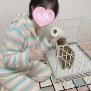 ヒメ日記 2026/03/05 19:31 投稿 水野こころ すべりん棒シャンプー娘。（横浜ハレ系）