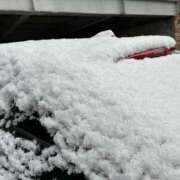 菫(すみれ) 雪 PLUS十三店